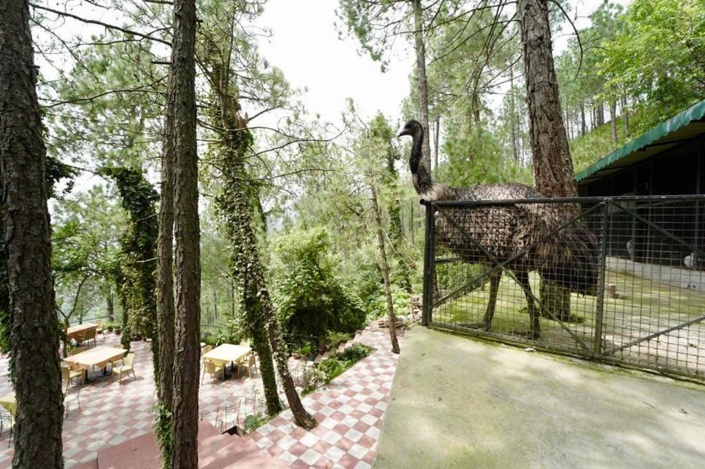 צ'איל Nature View Resort !! A Four Star Lavish & Luxury Resort מראה חיצוני תמונה